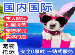 伊尔施空运公司国际宠物托运 【国