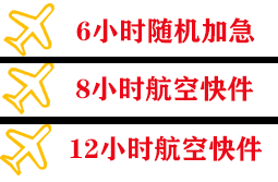 伊尔施空运公司快递公司,专业空运当天件